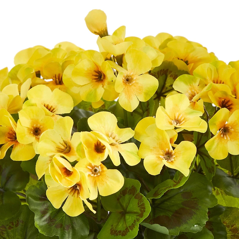 11" Yellow Geranium in Ceramic Planter