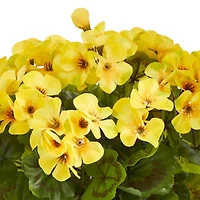 11" Yellow Geranium in Ceramic Planter