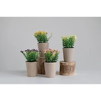 Hello Honey® 6.5" Blooming Plant, 4ct.