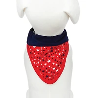 Best Furry Friends Patriotic Bandana Slides
