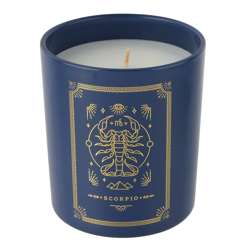 10oz. Scented Scorpio Jar Candle by Ashland®