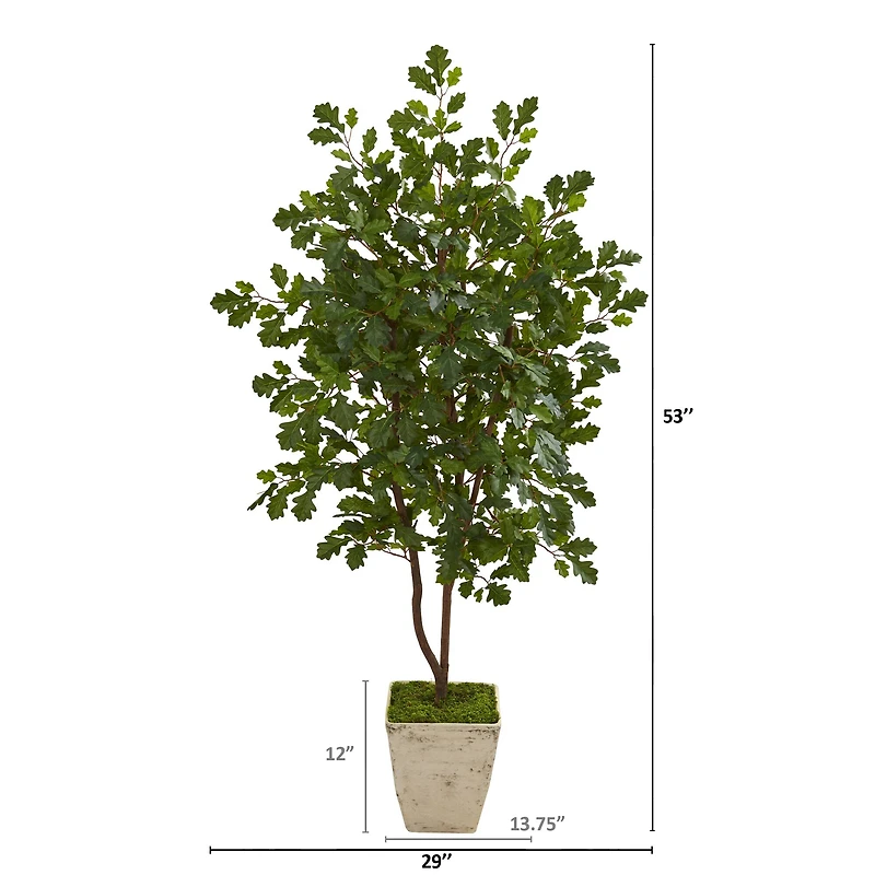 4ft. Oak Tree in Country White Planter