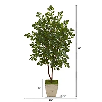 4ft. Oak Tree in Country White Planter
