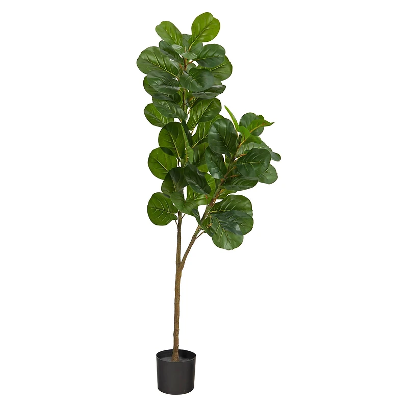 5.5ft. Potted Fiddle Leaf Fig Tree