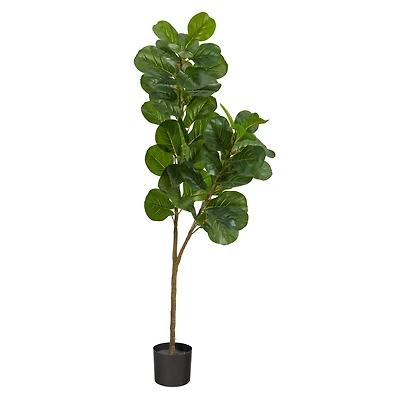 5.5ft. Potted Fiddle Leaf Fig Tree