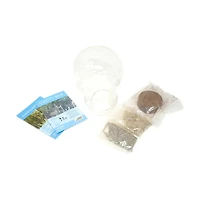 Double Sphere Glass Terrarium - Desert Escape Growarium
