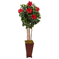 5ft. Red Hibiscus Tree in Decorative Wooden Planter