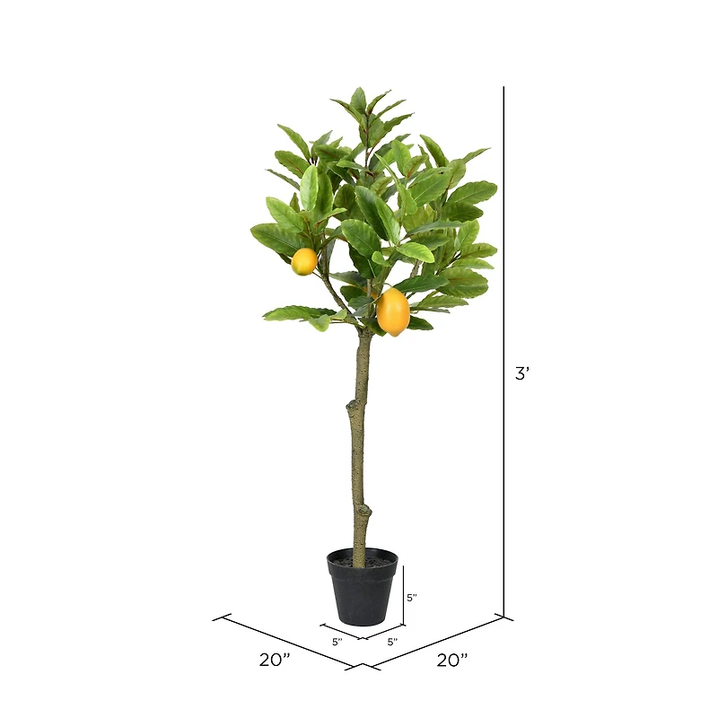 3ft. Potted Lemon Tree