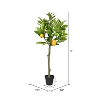 3ft. Potted Lemon Tree