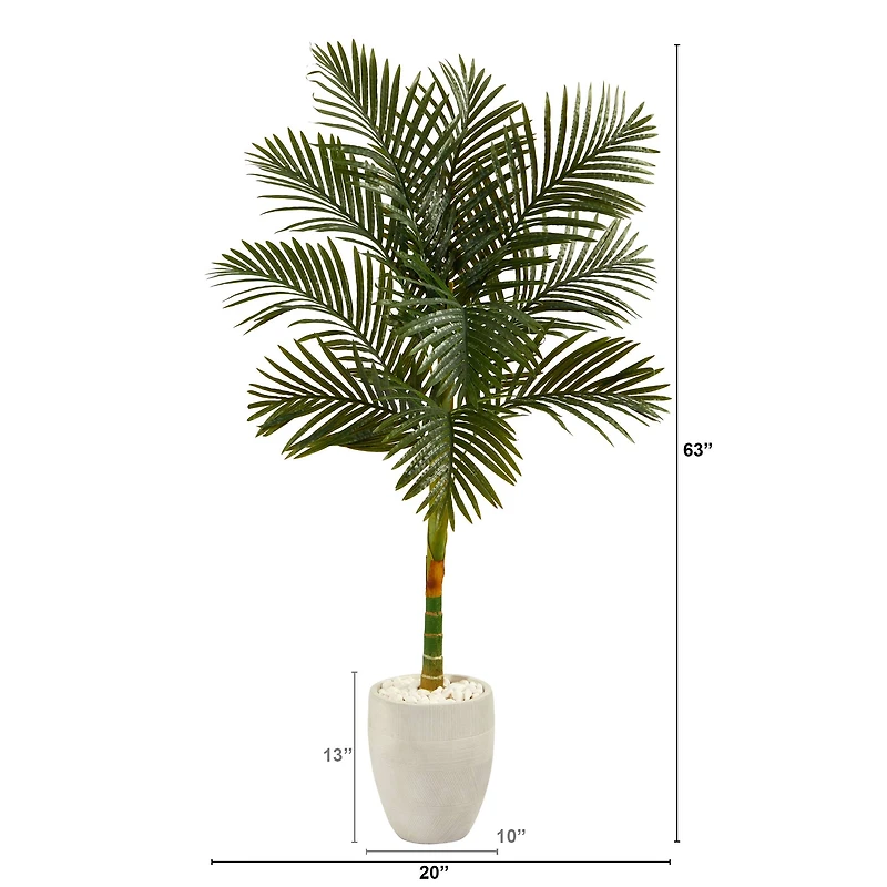 5ft. Golden Cane Palm Tree in White Planter