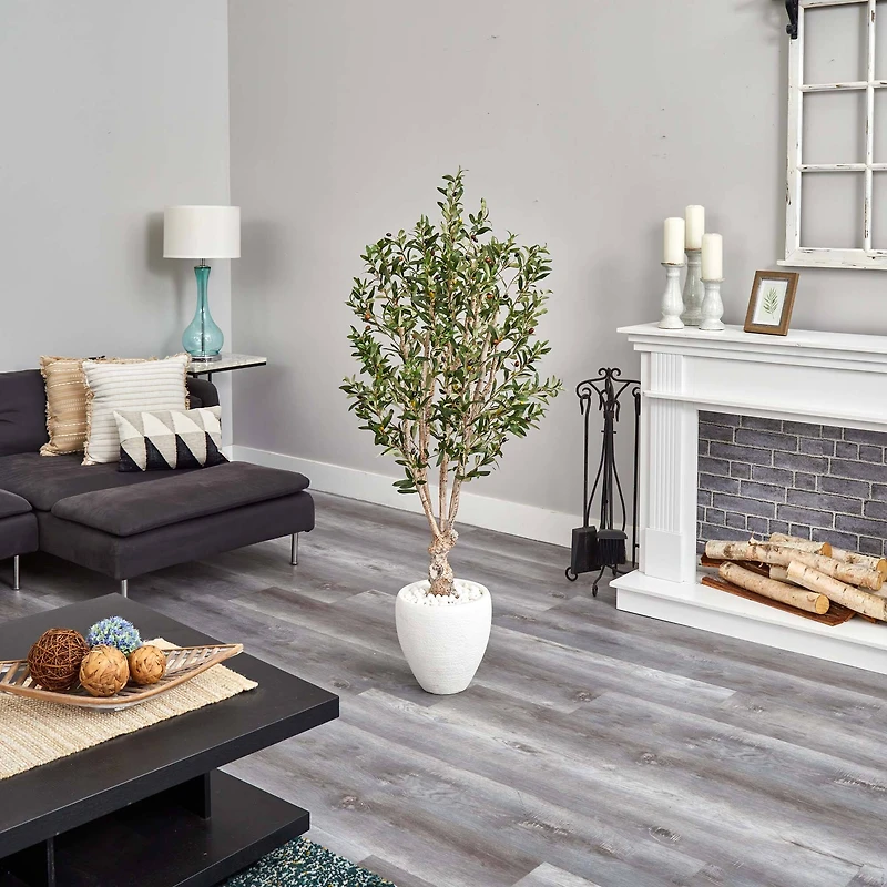 5ft. Olive Tree in White Oval Planter
