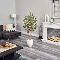 5ft. Olive Tree in White Oval Planter