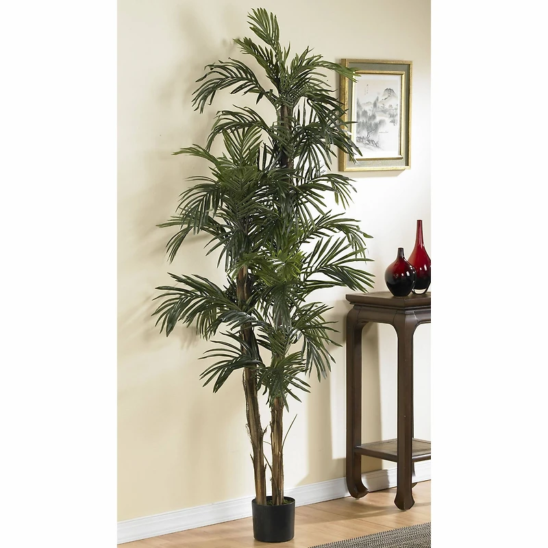 6ft. Potted Robellini Palm Tree