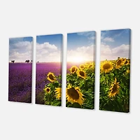 Designart - Lavender and Sunflower Fields