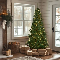 7.5ft. Pre-Lit Linden Spruce Artificial Christmas Tree
