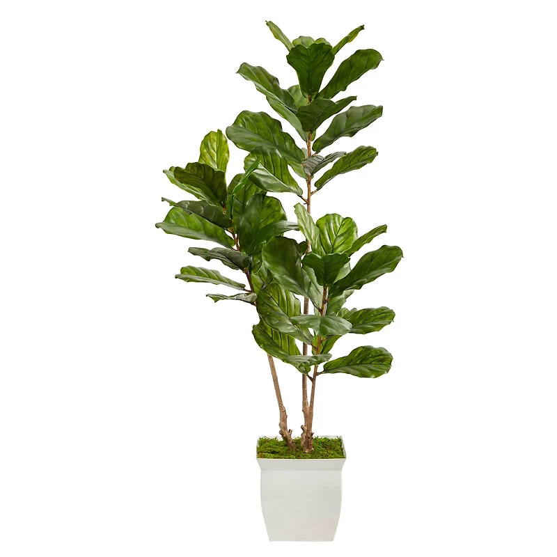 5.5ft. UV Resistant Fiddle Leaf Tree in White Metal Planter