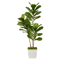 5.5ft. UV Resistant Fiddle Leaf Tree in White Metal Planter