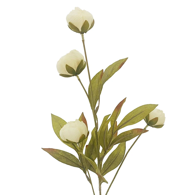 Cream Peony Stem by Ashland®