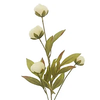 Cream Peony Stem by Ashland®