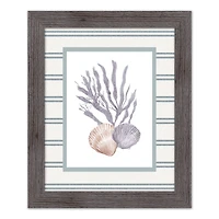 Scallop & Olive Shell Western Framed Print
