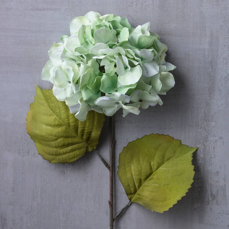 12 Pack: Seafoam Green Hydrangea Stem by Ashland®
