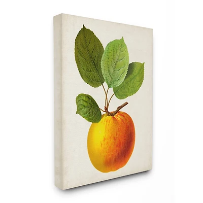 Stupell Industries Vintage Fruit Apple Painting Canvas Wall Art