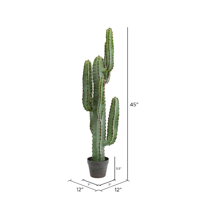 4ft. Potted Green Finger Cactus