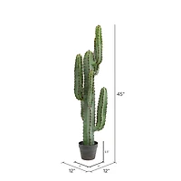 4ft. Potted Green Finger Cactus