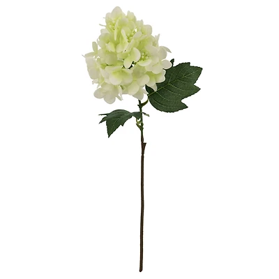 27" White Cone Hydrangea Real Touch Stem by Ashland®