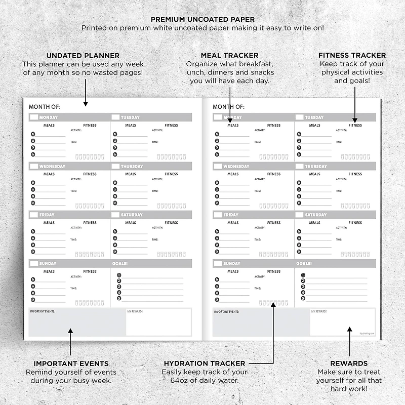 TF Publishing Large Undated Wellness Planner