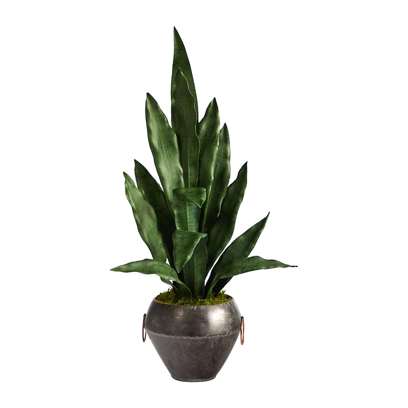 2.5ft. Snake Plant in Decorative Metal Bowl