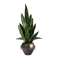 2.5ft. Snake Plant in Decorative Metal Bowl