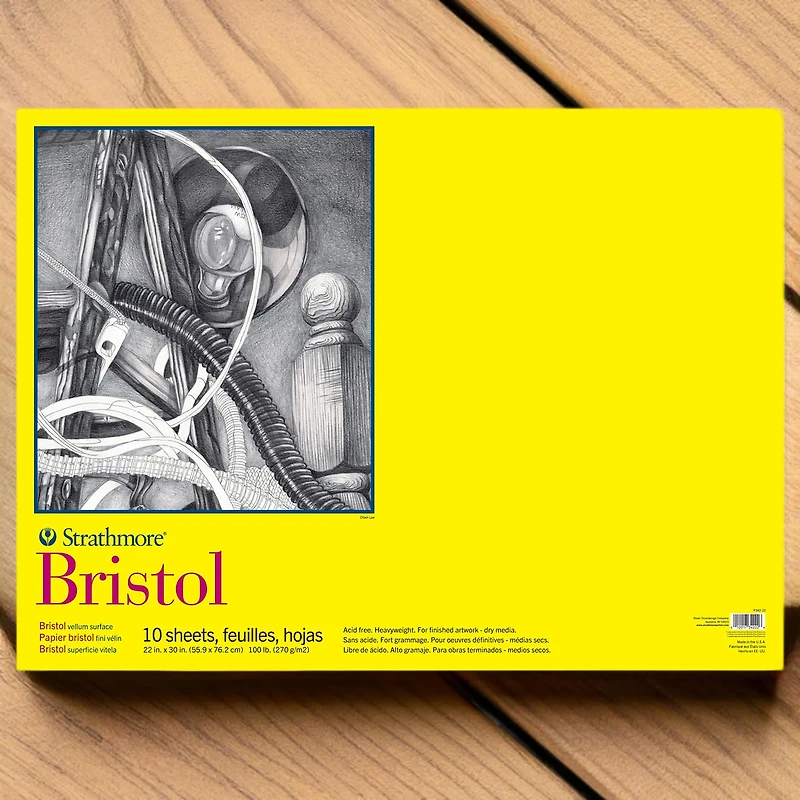 Strathmore® 300 Series Bristol Vellum Surface Pad, 22" x 30"