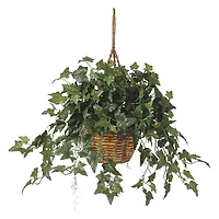 2ft. English Ivy Hanging Basket