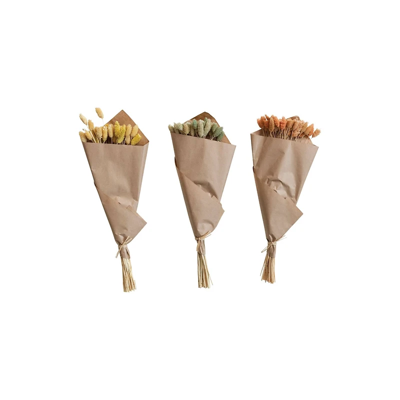 Hello Honey® 19.5" Dried Natural Canary Grass Bunch, 3ct.