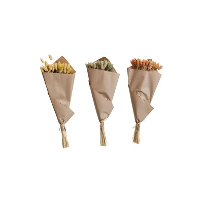 Hello Honey® 19.5" Dried Natural Canary Grass Bunch, 3ct.