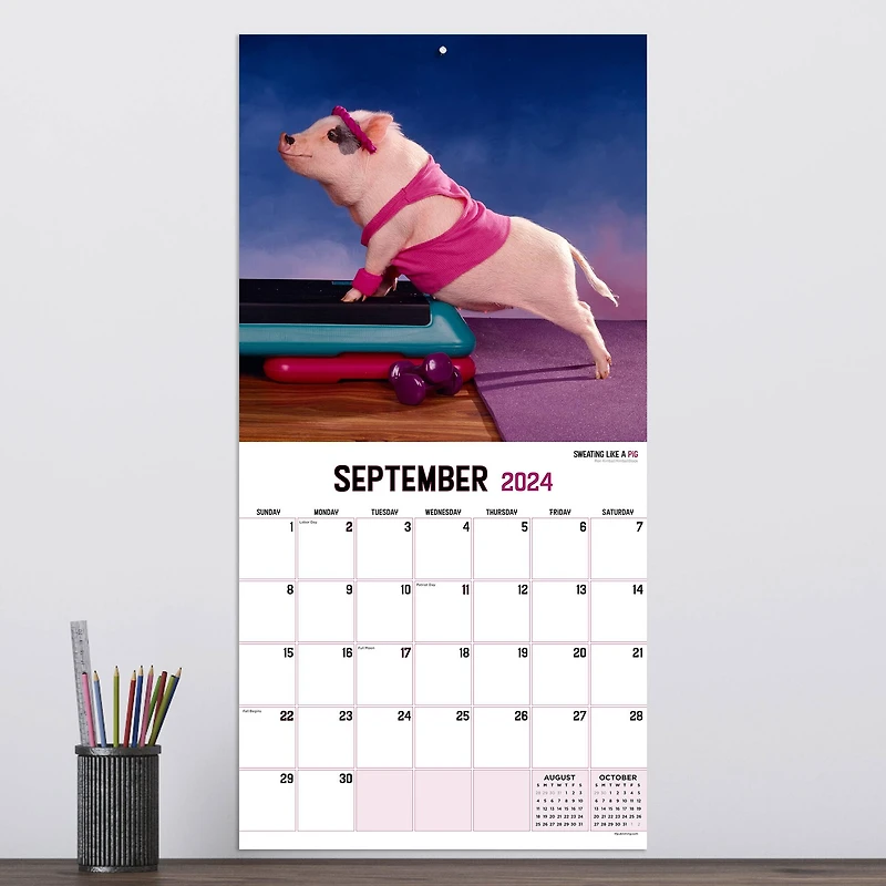 TF Publishing 2024 Playful Pigs Wall Calendar