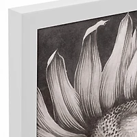 Sketched Sunflower White Framed Canvas
