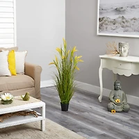 3.5ft. Potted Wheat Grain