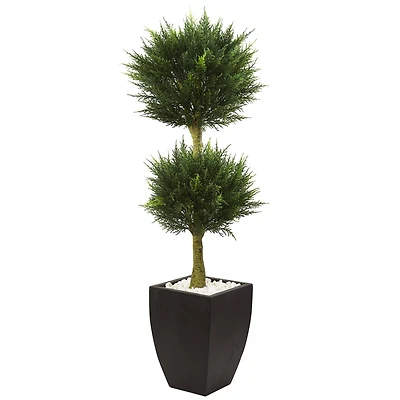 4.5ft. Cypress Topiary in Black Planter