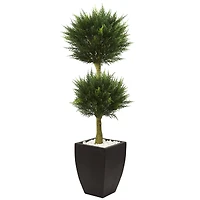 4.5ft. Cypress Topiary in Black Planter
