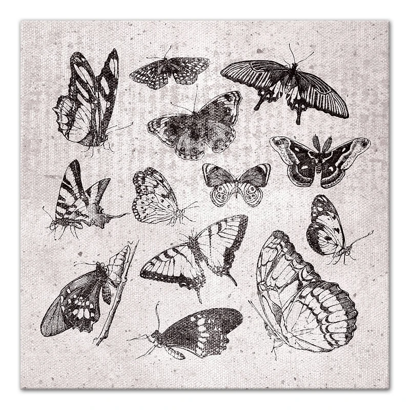 Grayscale Butterflies 24" x 24" Canvas Wall Art
