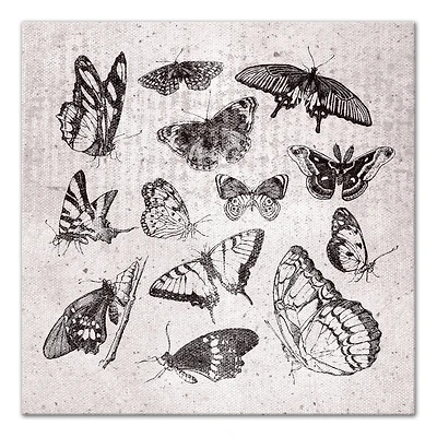 Grayscale Butterflies 24" x 24" Canvas Wall Art