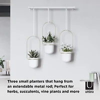 Umbra White & Brass Triflora Hanging Planter Set