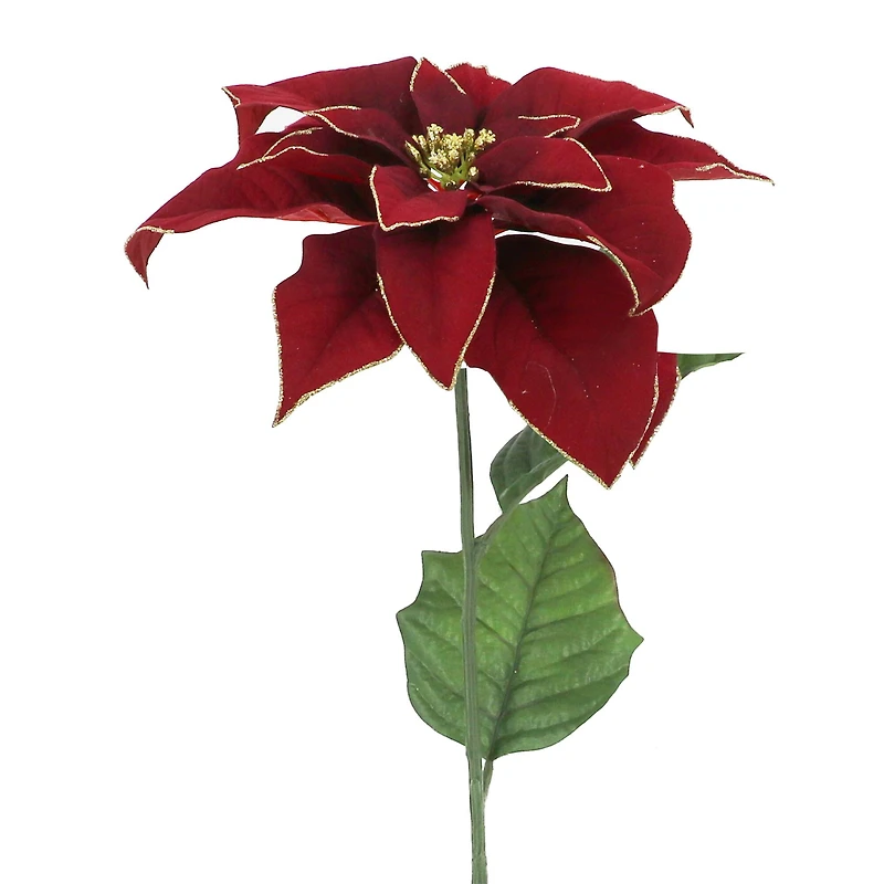 28" Burgundy with Gold Edges Poinsettia Stem by Ashland®
