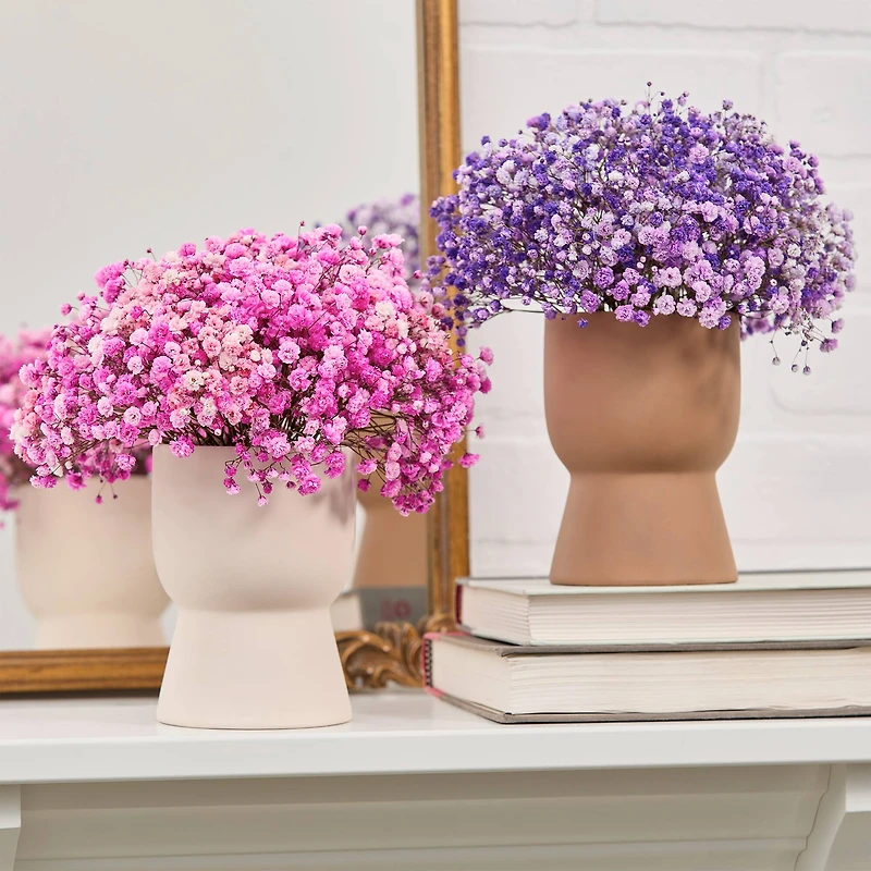 FloraCraft® 1.75" x 2.75" Green Artesia WetFōM® Discs, 2ct.