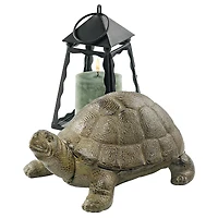 Design Toscano 5" Aesop's Turtle Cast Iron Statue