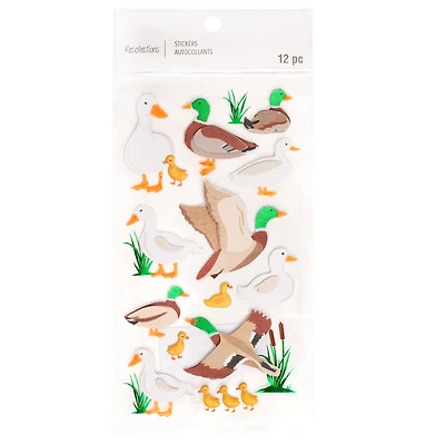 Duck Stickers by Recollections™