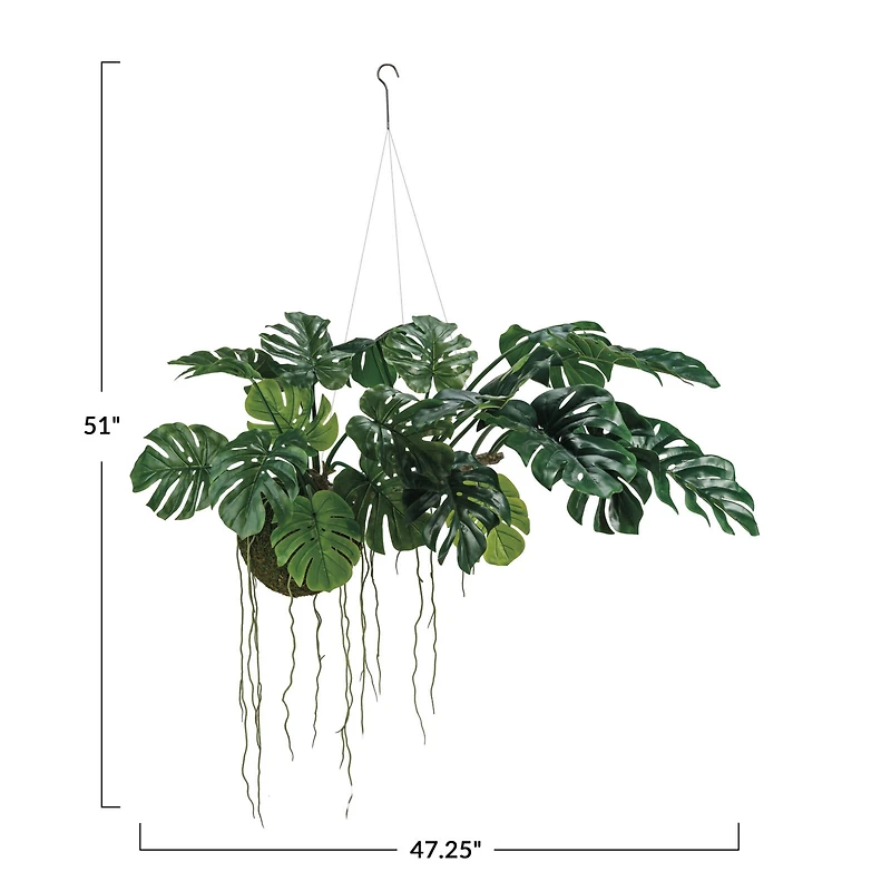 Hello Honey® 51" Lush Green Hanging Monstera Kokedama