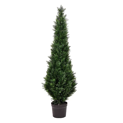5ft. Potted Cedar Tree